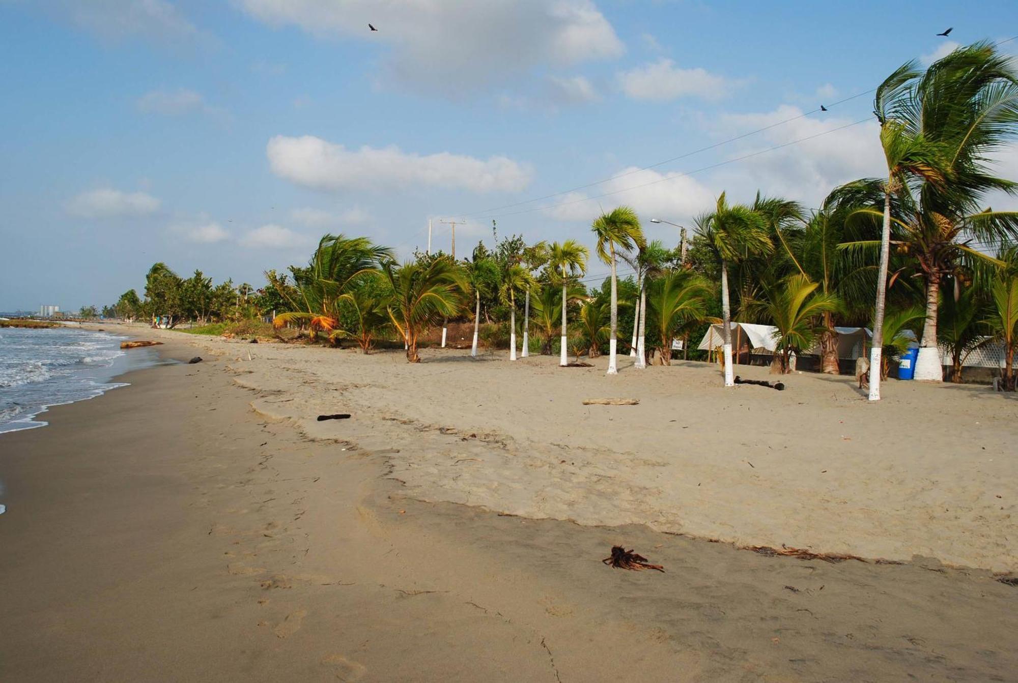 Hotel Isla Magica Coveñas 外观 照片